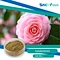 Skin Health
